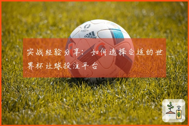 实战经验分享：如何选择合适的世界杯让球投注平台
