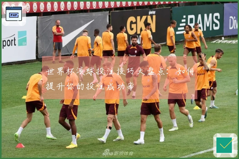世界杯滚球投注技巧大盘点：如何提升你的投注成功率