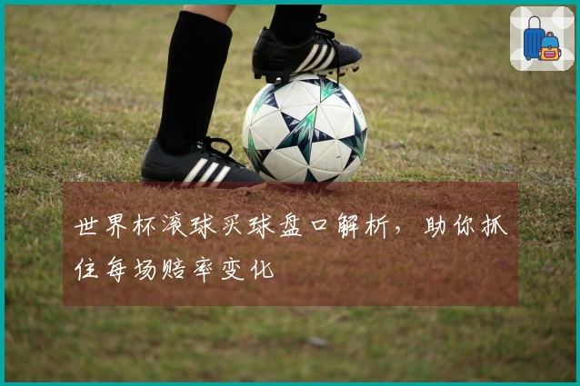 世界杯滚球买球盘口解析，助你抓住每场赔率变化