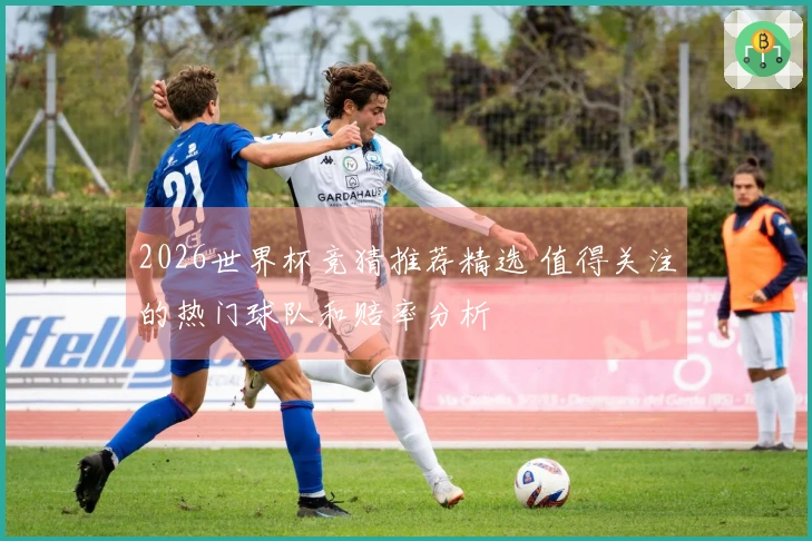 2026世界杯竞猜推荐精选 值得关注的热门球队和赔率分析