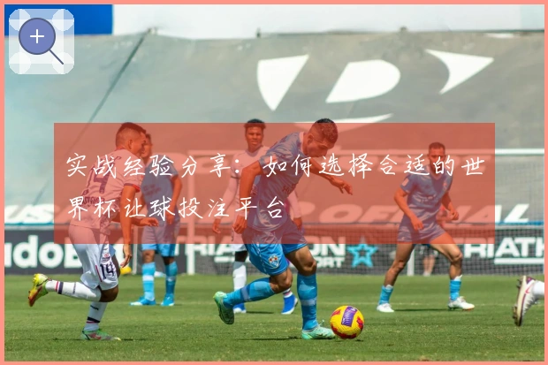 实战经验分享：如何选择合适的世界杯让球投注平台