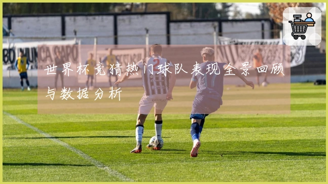 世界杯竞猜热门球队表现全景回顾与数据分析