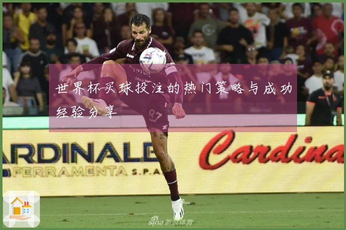世界杯买球投注的热门策略与成功经验分享
