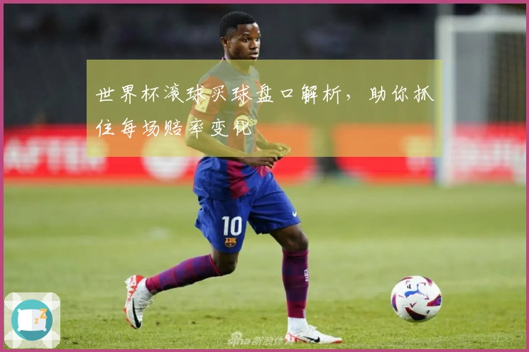 世界杯滚球买球盘口解析，助你抓住每场赔率变化