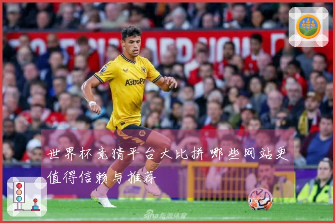世界杯竞猜平台大比拼 哪些网站更值得信赖与推荐