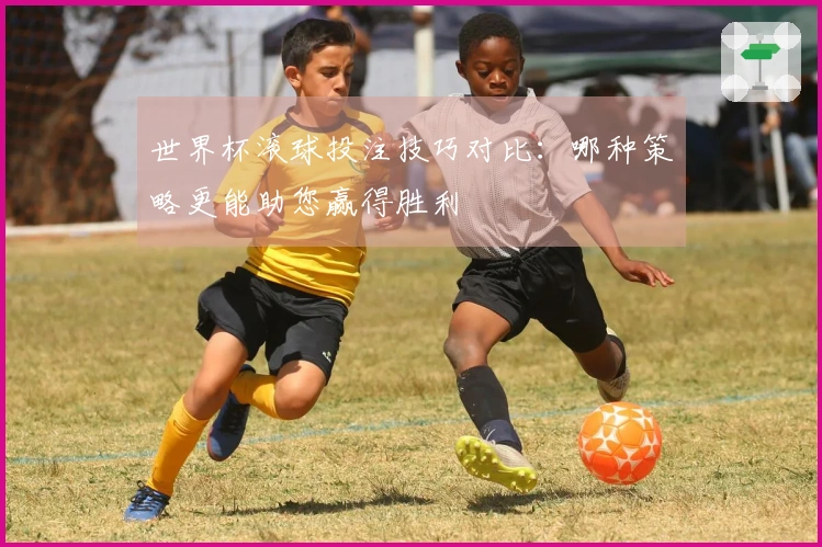 世界杯滚球投注技巧对比：哪种策略更能助您赢得胜利